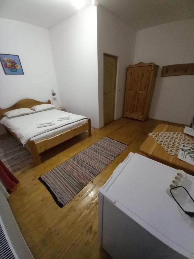 Casa Din Barcut Pensionat Eksteriør billede